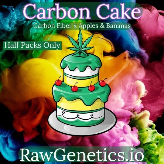 Carbon Cake Strain by Raw Genetics (Carbon Fiber x Apples and Bananas)
