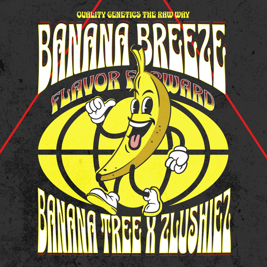 Banana Breeze Strain by Raw Genetics (Banana Tree x Zlushiez)