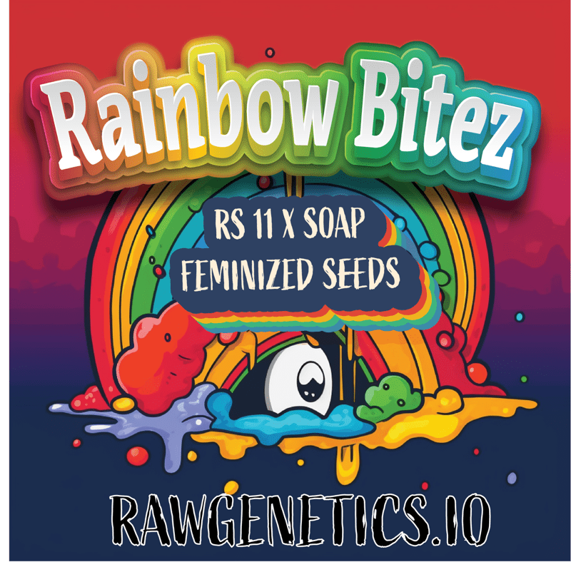 Rainbow Bitez Strain by Raw Genetics (RS11 x Soap)